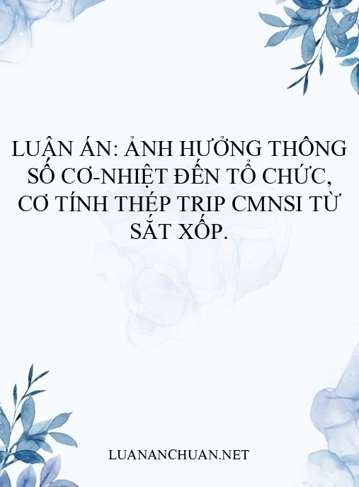 Luận án: Ảnh hưởng thông số cơ-nhiệt đến tổ chức, cơ tính thép TRIP CMnSi từ sắt xốp.