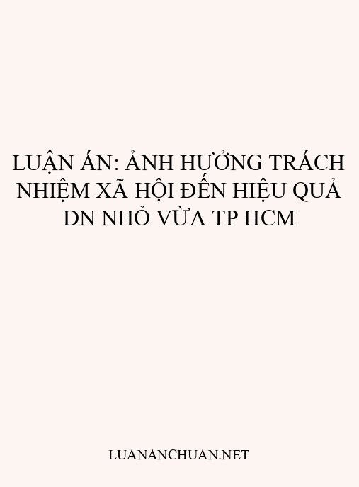 Luận án: Ảnh hưởng trách nhiệm xã hội đến hiệu quả DN nhỏ vừa TP HCM