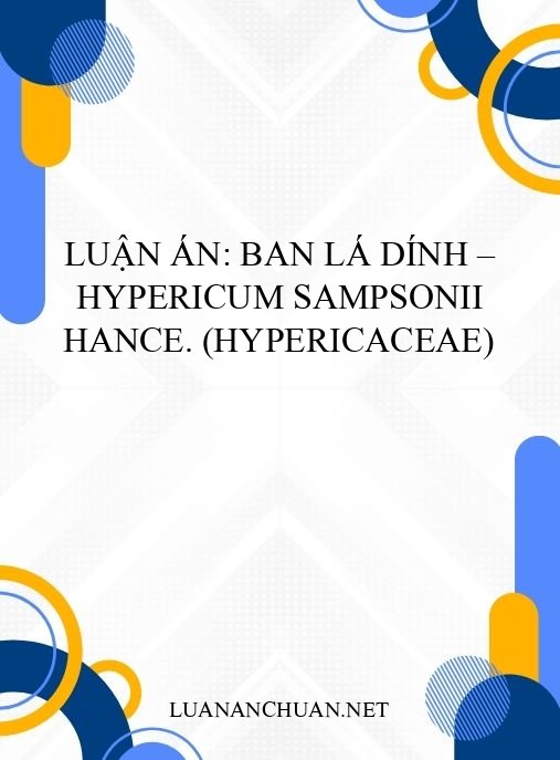 Luận án: Ban lá dính – Hypericum sampsonii Hance. (Hypericaceae)