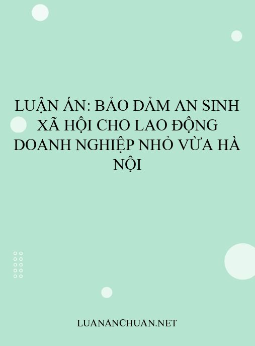 Luận án: Bảo đảm an sinh xã hội cho lao động doanh nghiệp nhỏ vừa Hà Nội