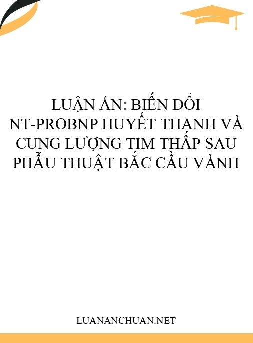 Luận án: Biến đổi NT-proBNP huyết thanh và cung lượng tim thấp sau phẫu thuật bắc cầu vành