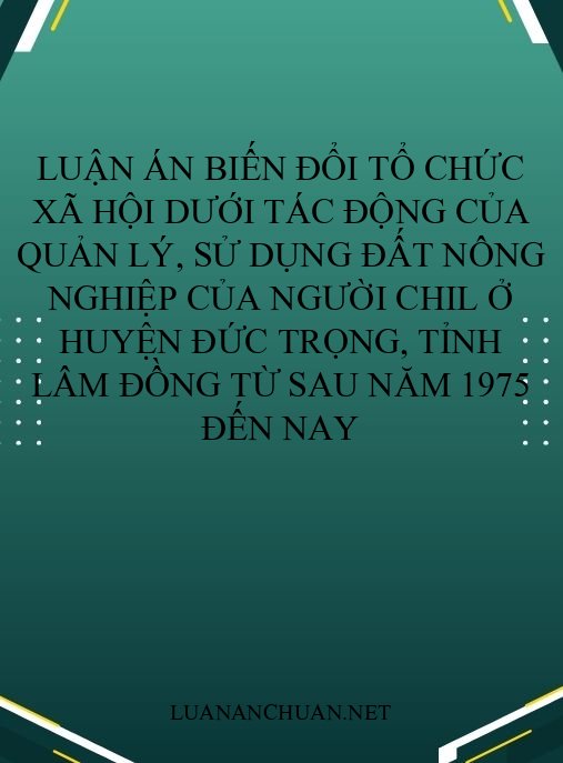 Luận án Biến đổi tổ chức xã hội dưới tác động của quản lý, sử dụng đất nông nghiệp của người Chil ở huyện Đức Trọng, tỉnh Lâm Đồng từ sau năm 1975 đến nay