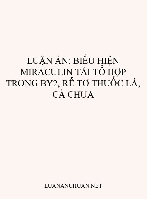 Luận án: Biểu hiện miraculin tái tổ hợp trong BY2, rễ tơ thuốc lá, cà chua