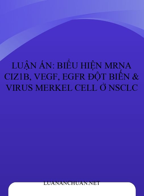 Luận án: Biểu hiện mRNA CIZ1b, VEGF, EGFR đột biến & virus Merkel cell ở NSCLC