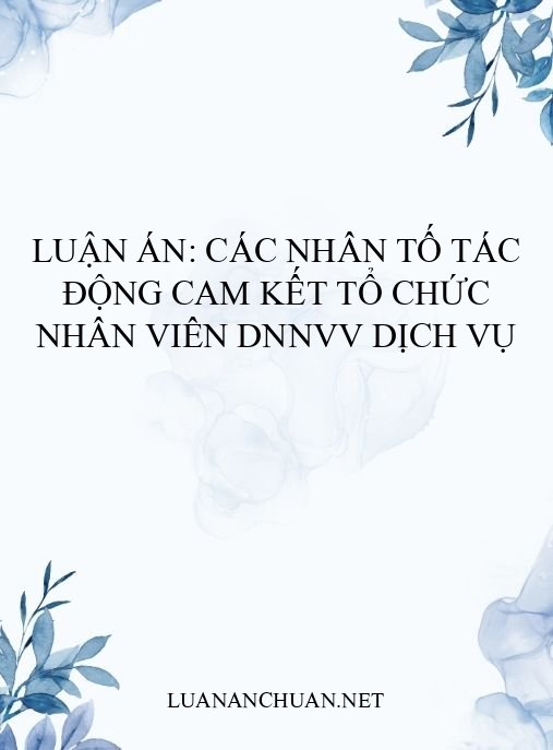 Luận án: Các nhân tố tác động cam kết tổ chức nhân viên DNNVV dịch vụ