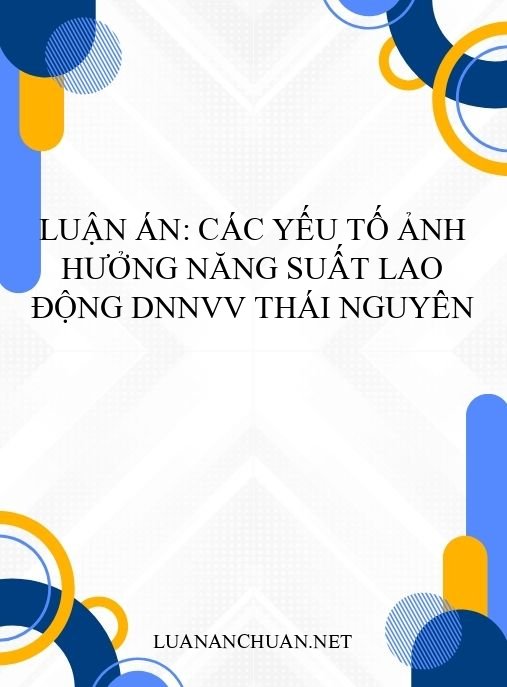 Luận án: Các yếu tố ảnh hưởng năng suất lao động DNNVV Thái Nguyên