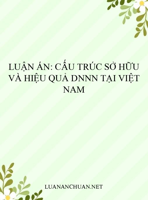 Luận án: Cấu trúc sở hữu và hiệu quả DNNN tại Việt Nam