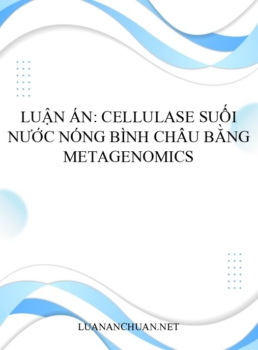 Luận án: Cellulase suối nước nóng Bình Châu bằng Metagenomics