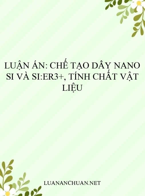 Luận án: Chế tạo dây nano Si và Si:Er3+, tính chất vật liệu