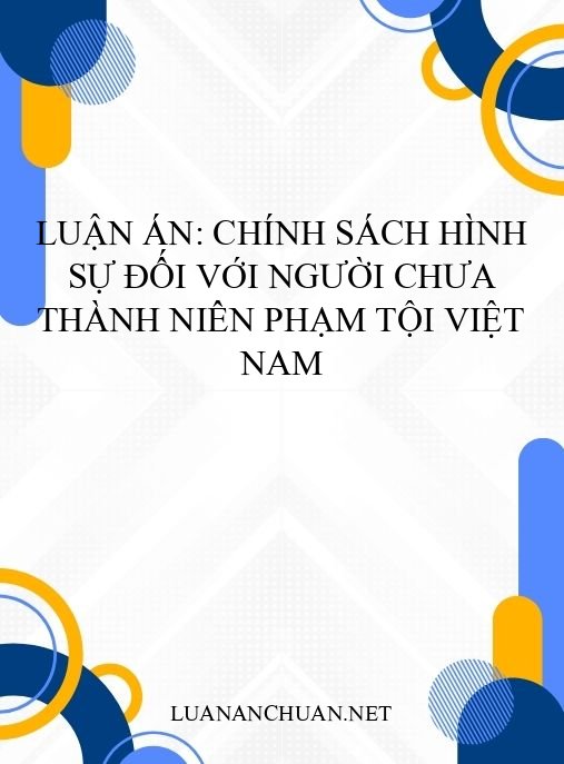 Luận án: Chính sách hình sự đối với người chưa thành niên phạm tội Việt Nam