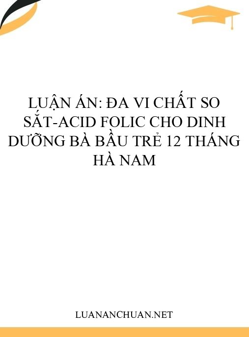 Luận án: Đa vi chất so sắt-acid folic cho dinh dưỡng bà bầu trẻ 12 tháng Hà Nam