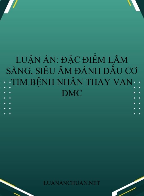 Luận án: Đặc điểm lâm sàng, siêu âm đánh dấu cơ tim bệnh nhân thay van ĐMC