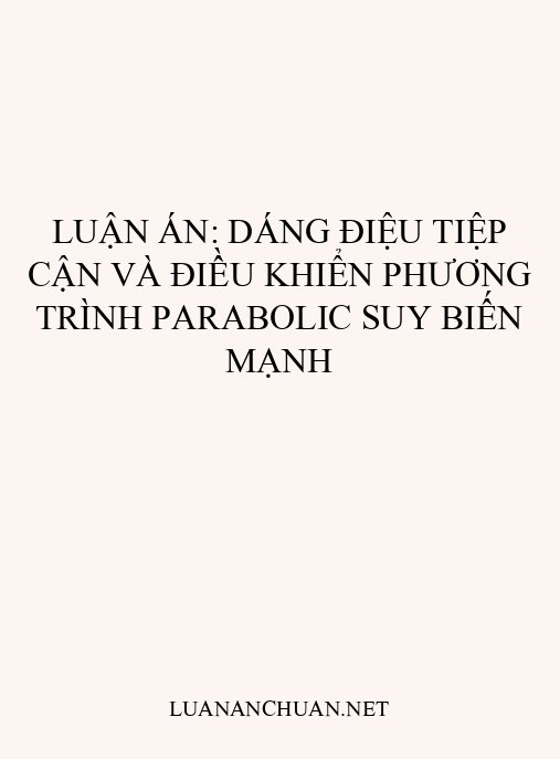 Luận án: Dáng điệu tiệp cận và điều khiển phương trình parabolic suy biến mạnh