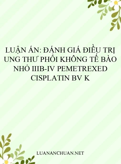 Luận án: Đánh giá điều trị ung thư phổi không tế bào nhỏ IIIB-IV Pemetrexed Cisplatin BV K
