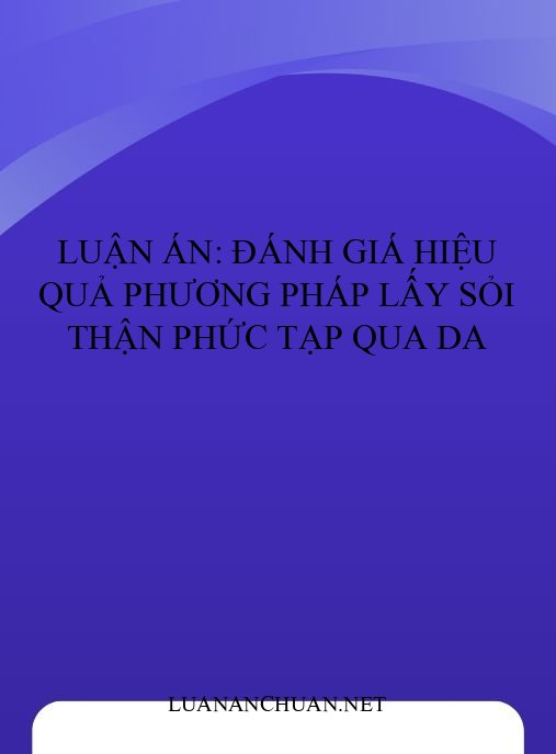 Luận án: Đánh giá hiệu quả phương pháp lấy sỏi thận phức tạp qua da