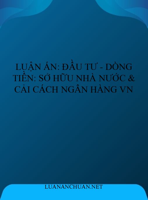 Luận án: Đầu tư – Dòng tiền: Sở hữu nhà nước & cải cách ngân hàng VN