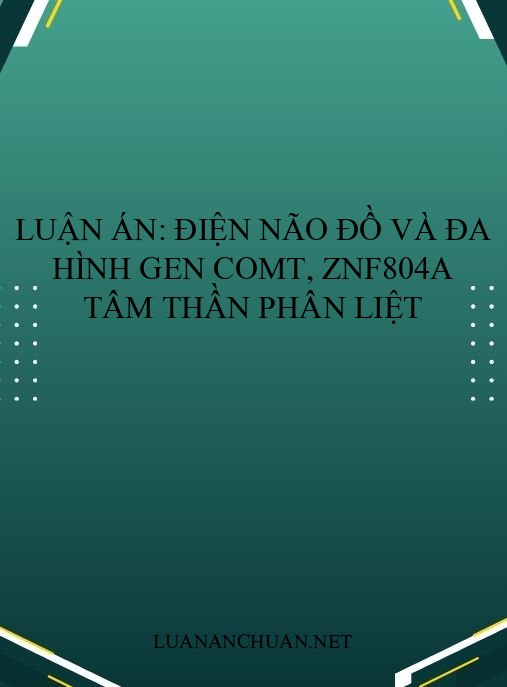 Luận án: Điện não đồ và đa hình gen COMT, ZNF804A tâm thần phân liệt