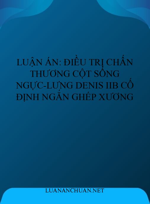 Luận án: Điều trị chấn thương cột sống ngực-lưng Denis IIB cố định ngắn ghép xương
