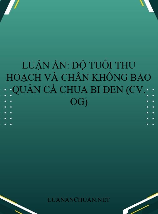 Luận án: Độ tuổi thu hoạch và chân không bảo quản cà chua bi đen (cv. OG)