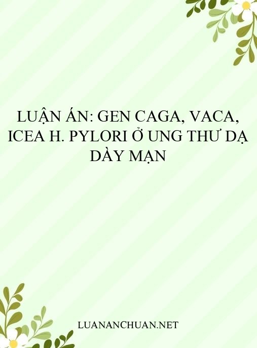 Luận án: Gen cagA, vacA, iceA H. pylori ở ung thư dạ dày mạn