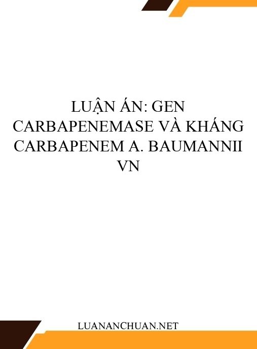 Luận án: Gen carbapenemase và kháng carbapenem A. baumannii VN