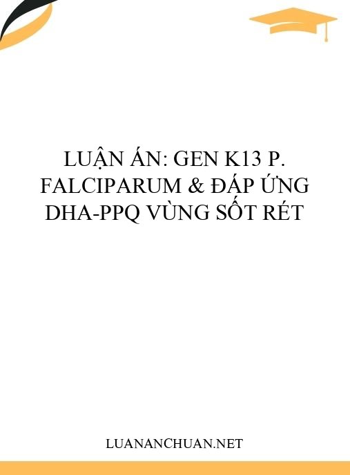 Luận án: Gen K13 P. falciparum & đáp ứng DHA-PPQ vùng sốt rét