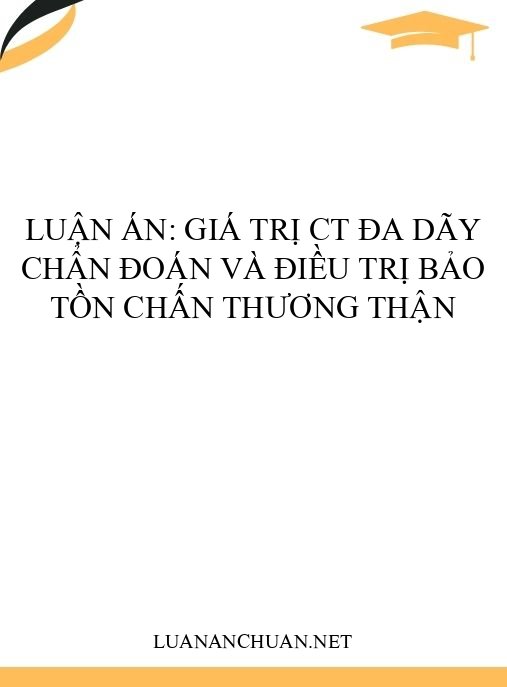 Luận án: Giá trị CT đa dãy chẩn đoán và điều trị bảo tồn chấn thương thận