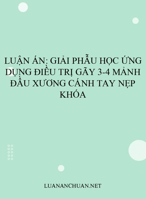 Luận án: Giải phẫu học ứng dụng điều trị gãy 3-4 mảnh đầu xương cánh tay nẹp khóa
