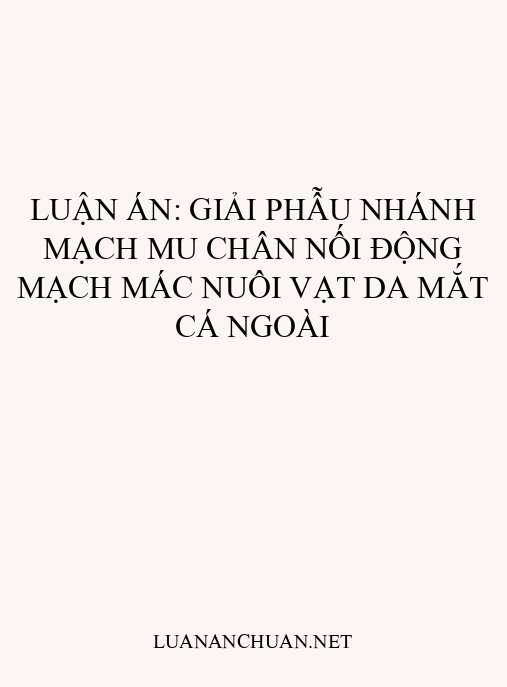 Luận án: Giải phẫu nhánh mạch mu chân nối động mạch mác nuôi vạt da mắt cá ngoài