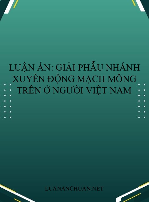 Luận án: Giải phẫu nhánh xuyên động mạch mông trên ở người Việt Nam