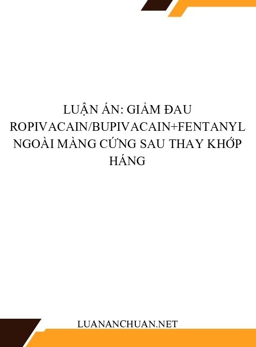 Luận án: Giảm đau ropivacain/bupivacain+fentanyl ngoài màng cứng sau thay khớp háng