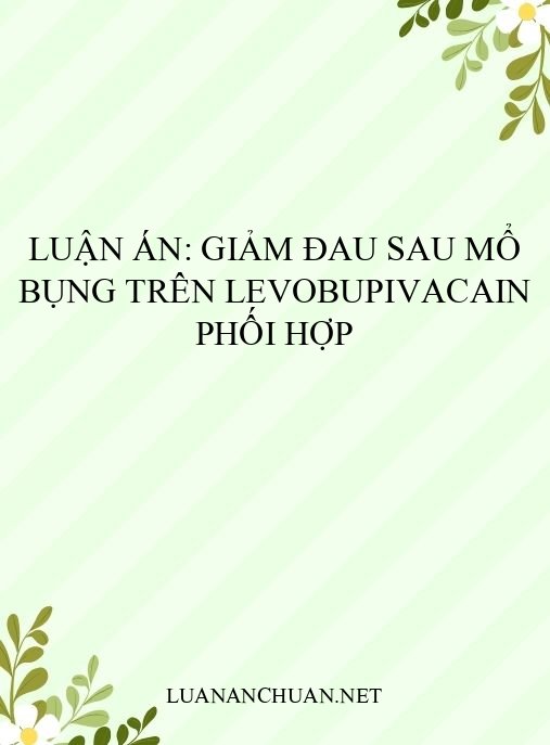 Luận án: Giảm đau sau mổ bụng trên levobupivacain phối hợp