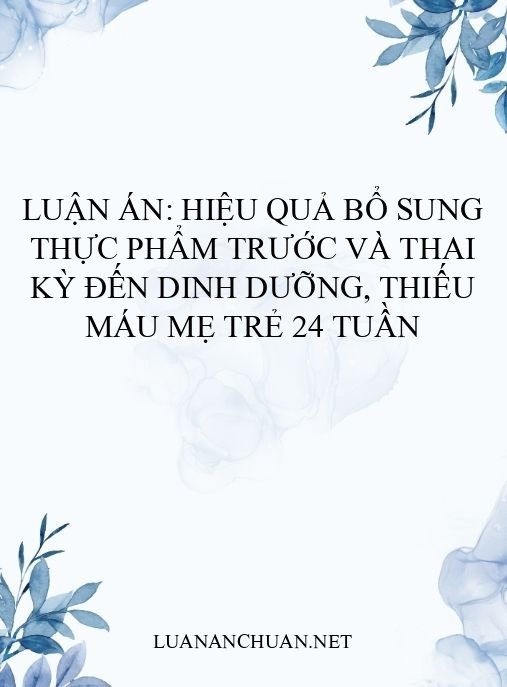 Luận án: Hiệu quả bổ sung thực phẩm trước và thai kỳ đến dinh dưỡng, thiếu máu mẹ trẻ 24 tuần