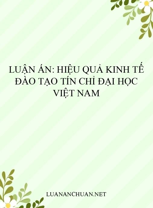 Luận án: Hiệu quả kinh tế đào tạo tín chỉ đại học Việt Nam