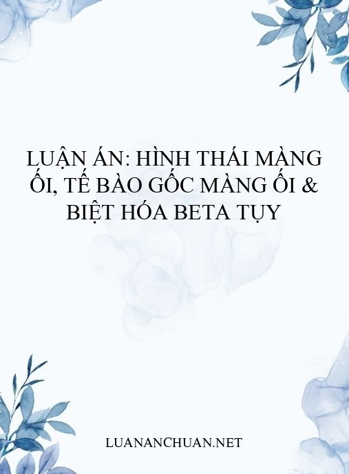 Luận án: Hình thái màng ối, tế bào gốc màng ối & biệt hóa beta tụy