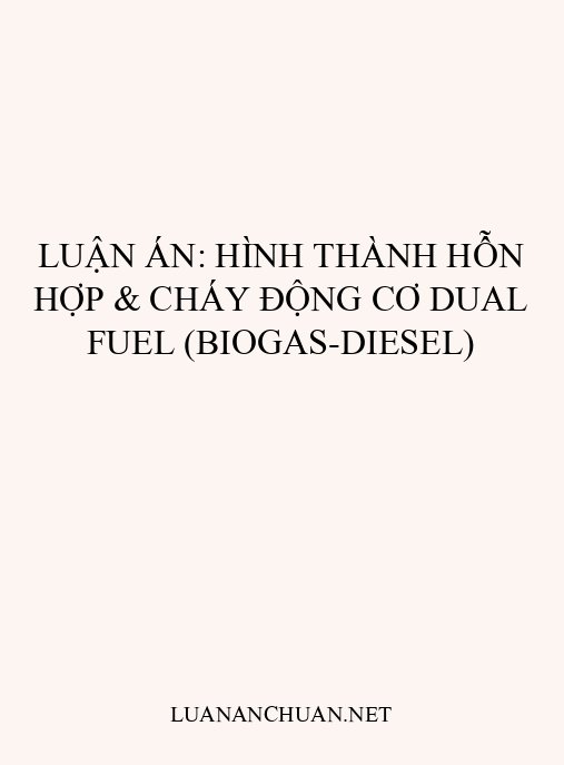 Luận án: Hình thành hỗn hợp & cháy động cơ Dual Fuel (Biogas-Diesel)