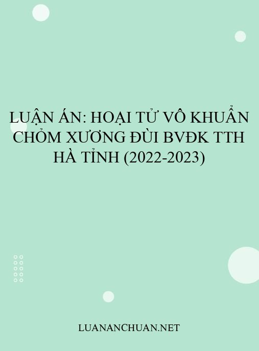 Luận án: Hoại tử vô khuẩn chỏm xương đùi BVĐK TTH Hà Tỉnh (2022-2023)