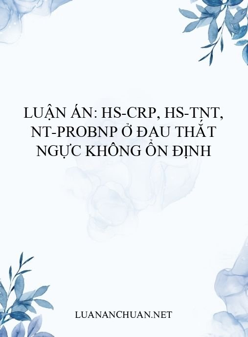 Luận án: Hs-CRP, hs-TnT, NT-proBNP ở đau thắt ngực không ổn định