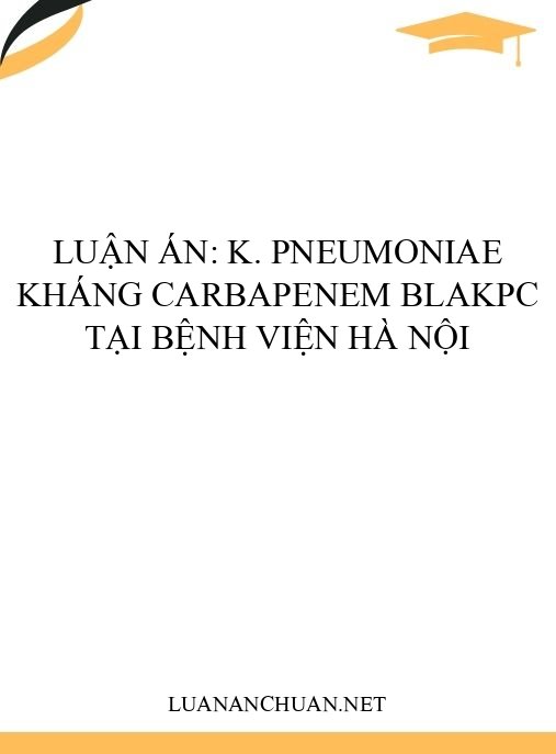 Luận án: K. pneumoniae kháng carbapenem blaKPC tại bệnh viện Hà Nội
