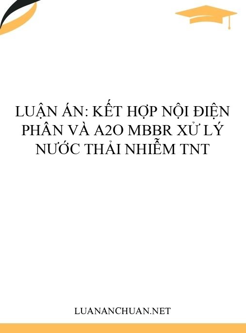 Luận án: Kết hợp nội điện phân và A2O MBBR xử lý nước thải nhiễm TNT