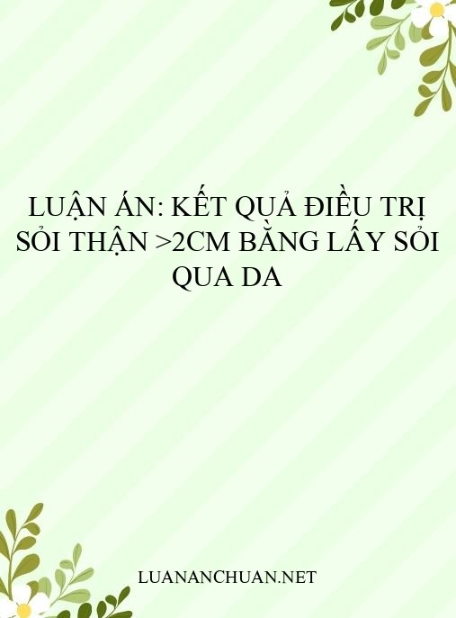 Luận án: Kết quả điều trị sỏi thận >2cm bằng lấy sỏi qua da