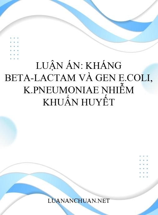 Luận án: Kháng beta-lactam và gen E.coli, K.pneumoniae nhiễm khuẩn huyết
