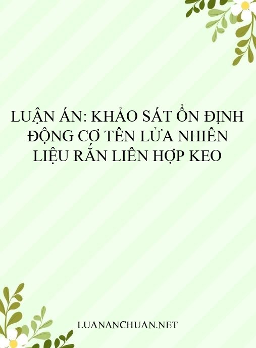 Luận án: Khảo sát ổn định động cơ tên lửa nhiên liệu rắn liên hợp keo