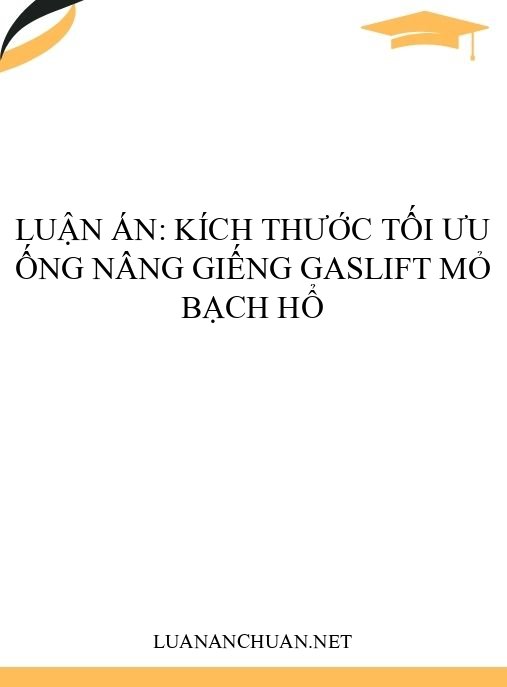 Luận án: Kích thước tối ưu ống nâng giếng gaslift mỏ Bạch Hổ
