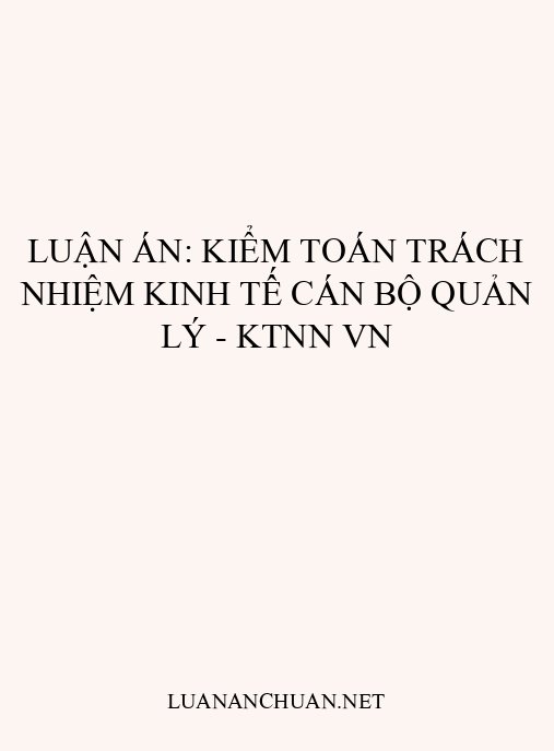 Luận án: Kiểm toán trách nhiệm kinh tế cán bộ quản lý – KTNN VN