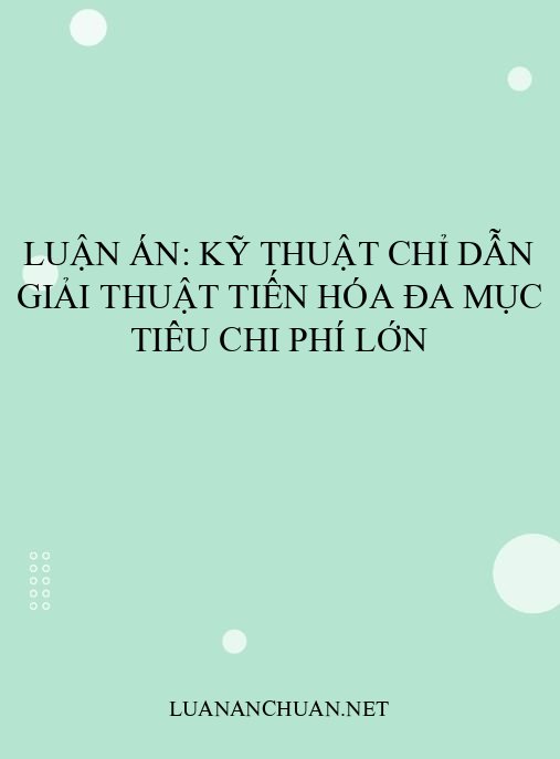 Luận án: Kỹ thuật chỉ dẫn giải thuật tiến hóa đa mục tiêu chi phí lớn
