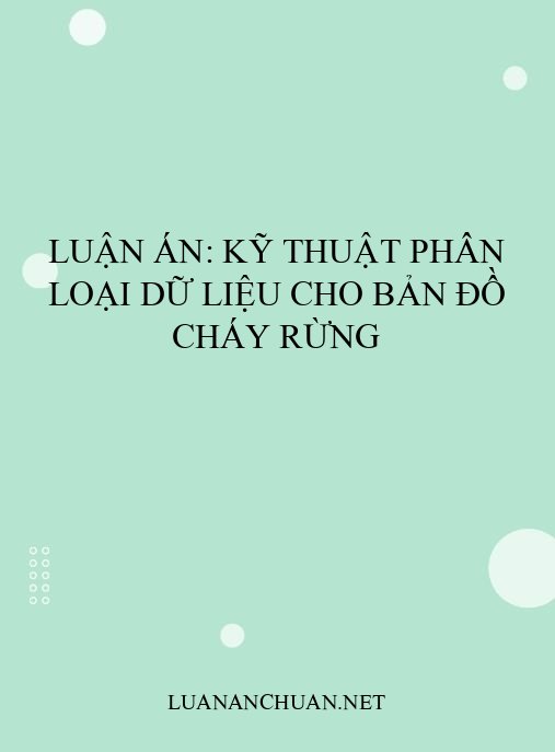 Luận án: Kỹ thuật phân loại dữ liệu cho bản đồ cháy rừng