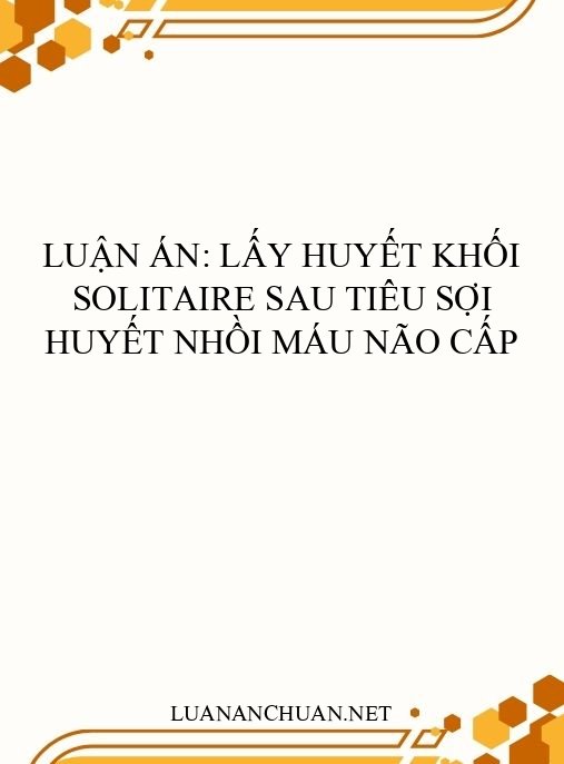 Luận án: Lấy huyết khối Solitaire sau tiêu sợi huyết nhồi máu não cấp