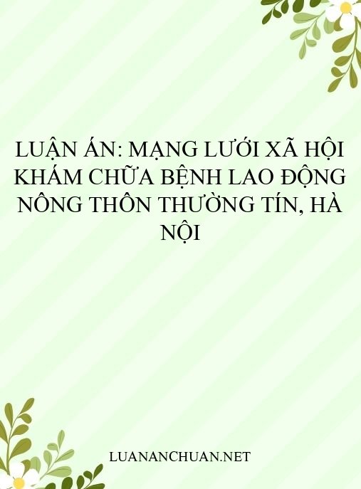 Luận án: Mạng lưới xã hội khám chữa bệnh lao động nông thôn Thường Tín, Hà Nội
