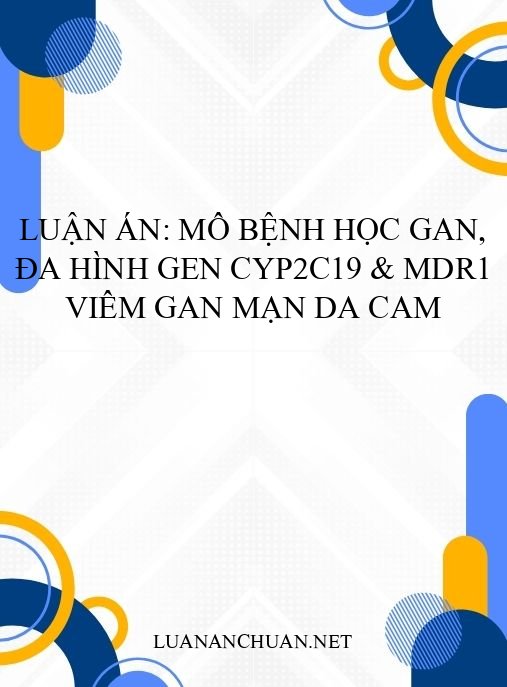Luận án: Mô bệnh học gan, đa hình gen CYP2C19 & MDR1 viêm gan mạn da cam